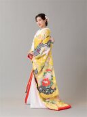 彩雲疋田紋（さいうんひきたもん）黄