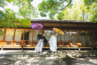 白川茶室ロケーションフォト