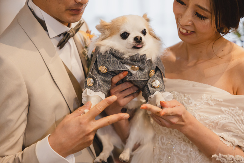 家族の温もり