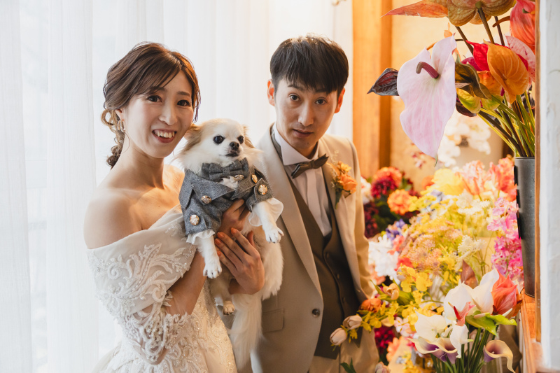 愛犬と迎える特別な1日