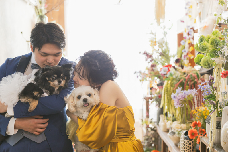 愛犬と過ごす特別な1日