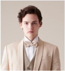 【ネクタイ】AU-68付属（BE）