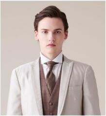 【ネクタイ】ALOIS付属ユーロタイ（BR）