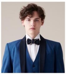 【ネクタイ】AU-62付属ボウタイ（NB）