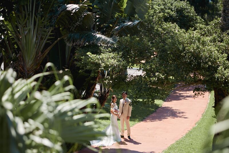 グリーンバック