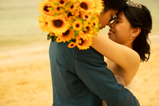 幸せのきいろ（サンセット撮影）