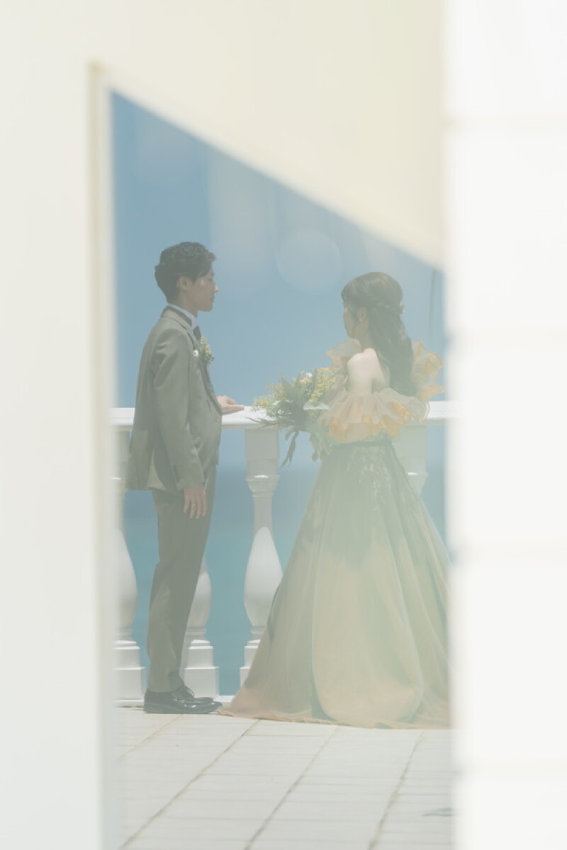 ○◦:. 反射 .:◦○