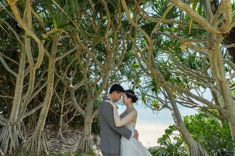 ロマンティック