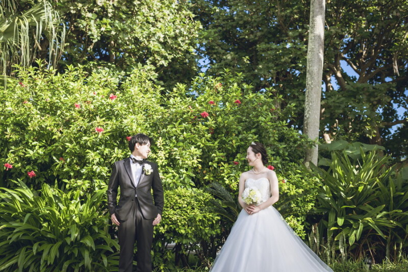 ハイビスカス✿