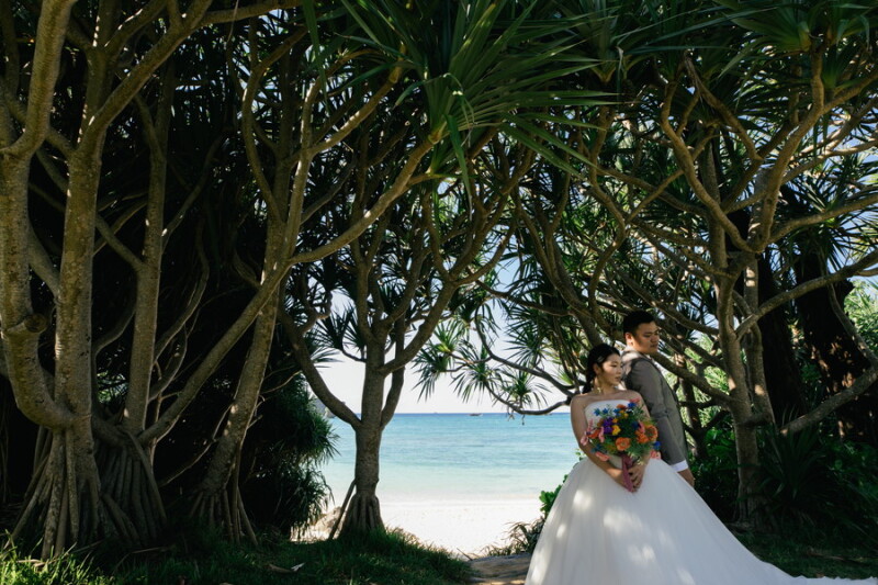 木漏れ日が美しい~