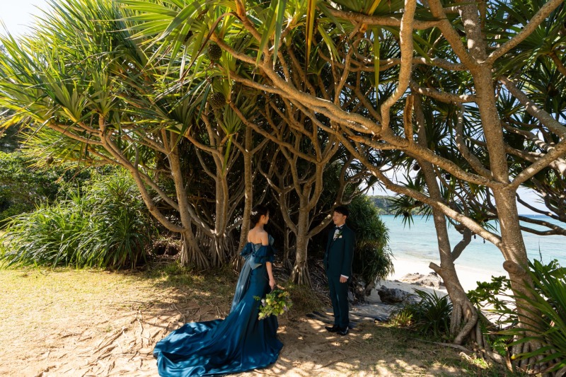 木と海とおふたりと