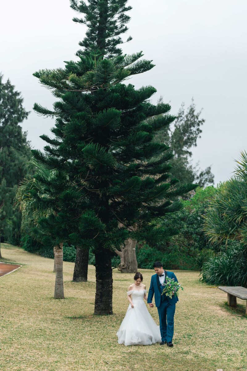 大きな木の下で