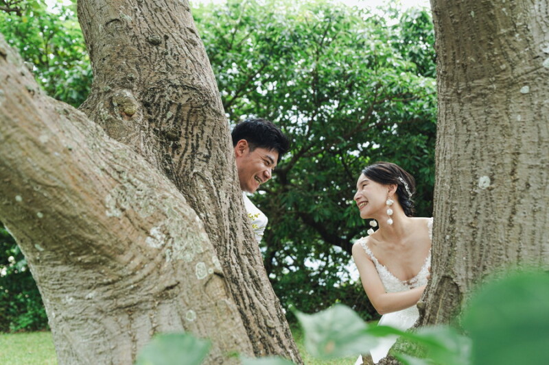 木々の間の小さな幸せ