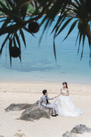 風に揺られて…