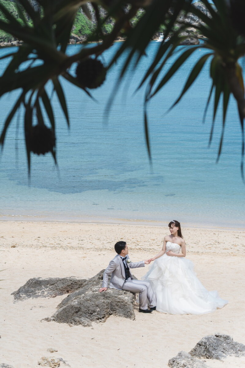 風に揺られて…