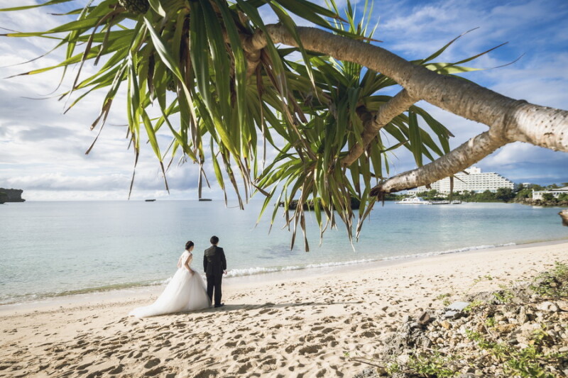 お散歩ショット