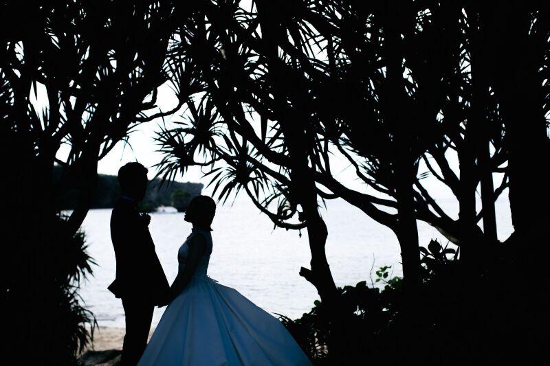 シルエットショット