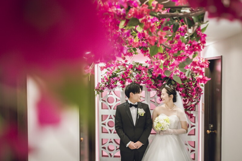 ブーゲンビリア❁