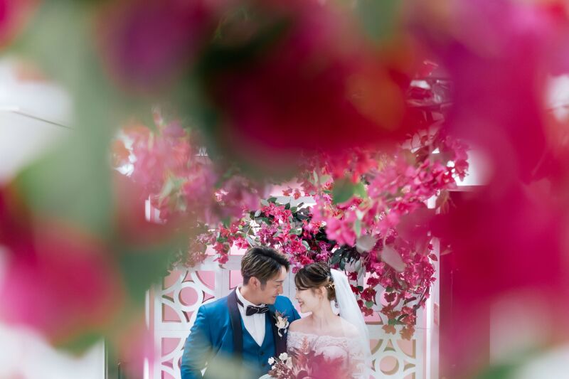 ブーゲンビリア