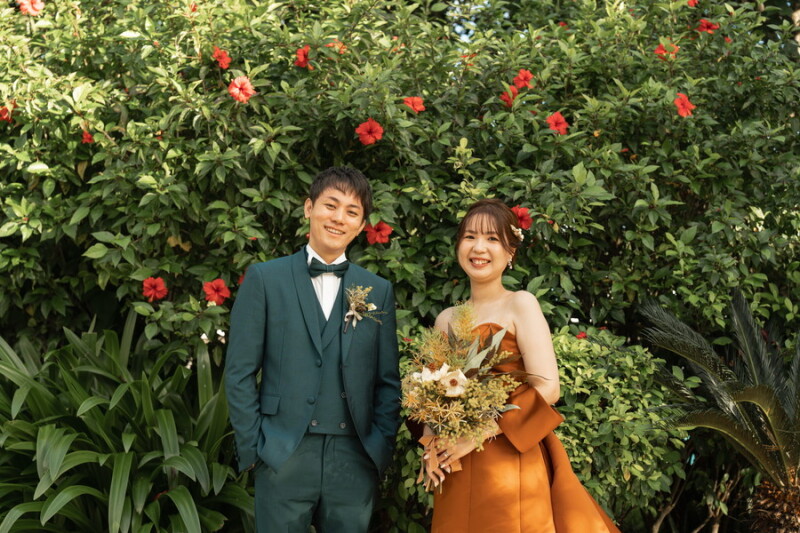 ハイビスカス✿