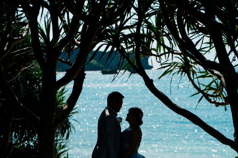 シルエット写真