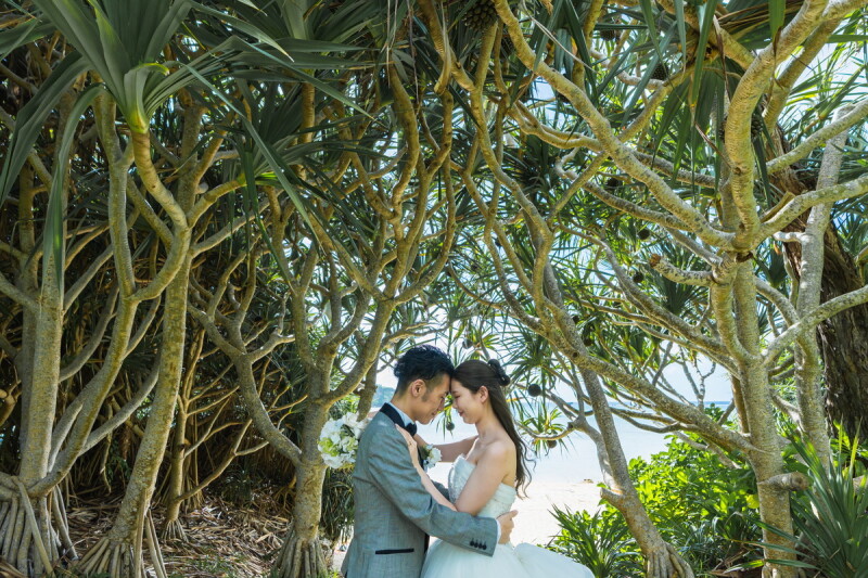 【アップグレード衣裳選び放題プラン】データ多め+アルバム付プラン♬|ビーチ150カット|全データ納品&色調|ヘアメイク|雨天保証