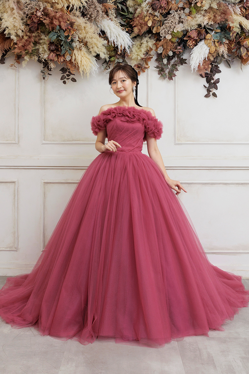 PL-580(PI)