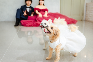 The oneday photo wedding_ピックアップフォト（フォトグラファーが選ぶいち押し写真）