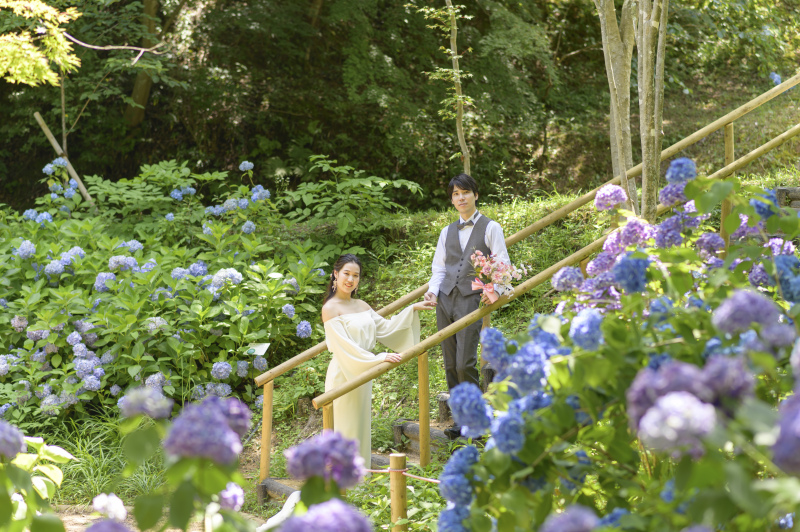 梅雨の時期は色とりどりの紫陽花が園内を彩ります