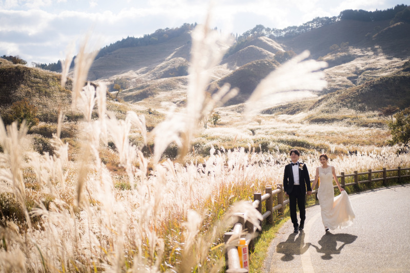 ススキがきれいな季節に!