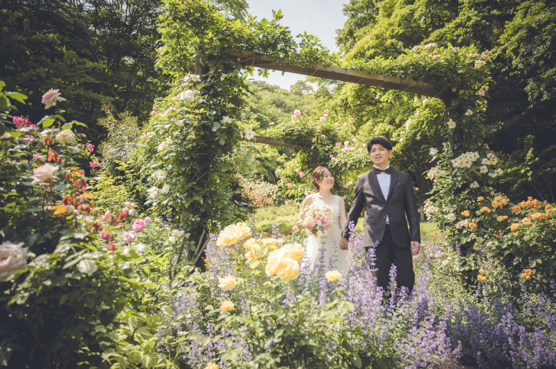 蝶も舞うお花畑で