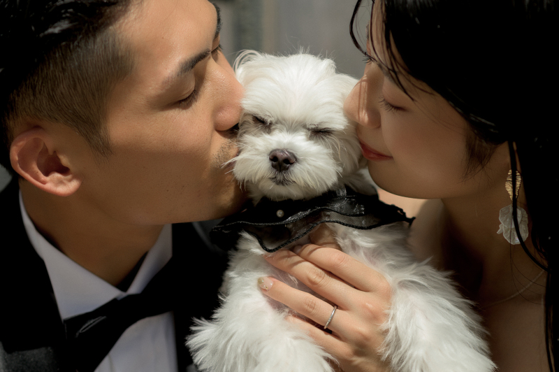 ペットと一緒に撮影しても追加料金はいただきません！