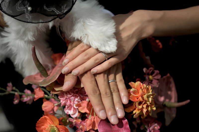 eneen wedding KOBE_ペットと一緒に撮影できる