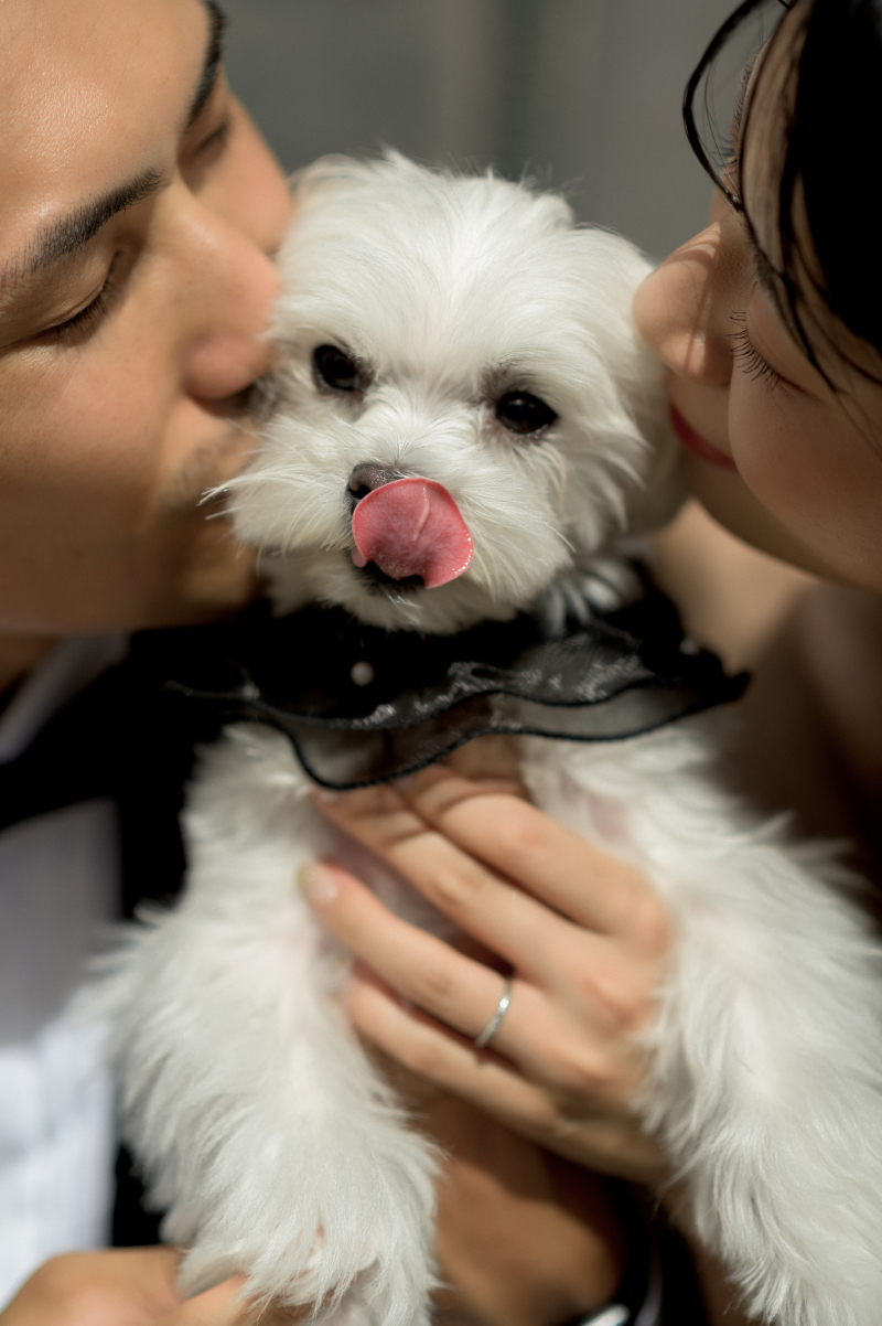 eneen wedding KOBE_ペットと一緒に撮影できる