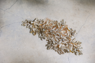 ヘッドパーツレンタル