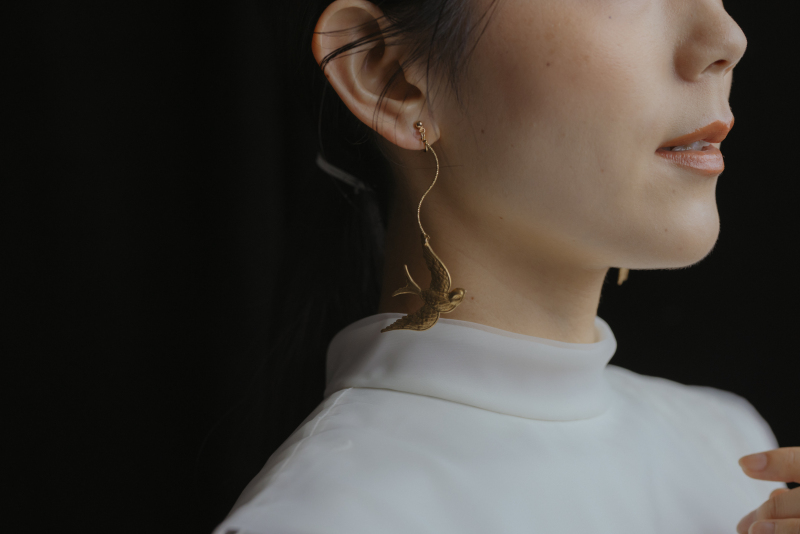 swing swallow pierce