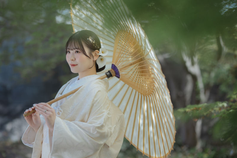 番傘越しの、やわらかな光