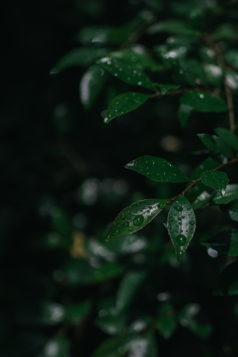 あめ時々くもり