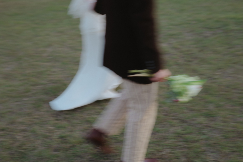 イメージカット