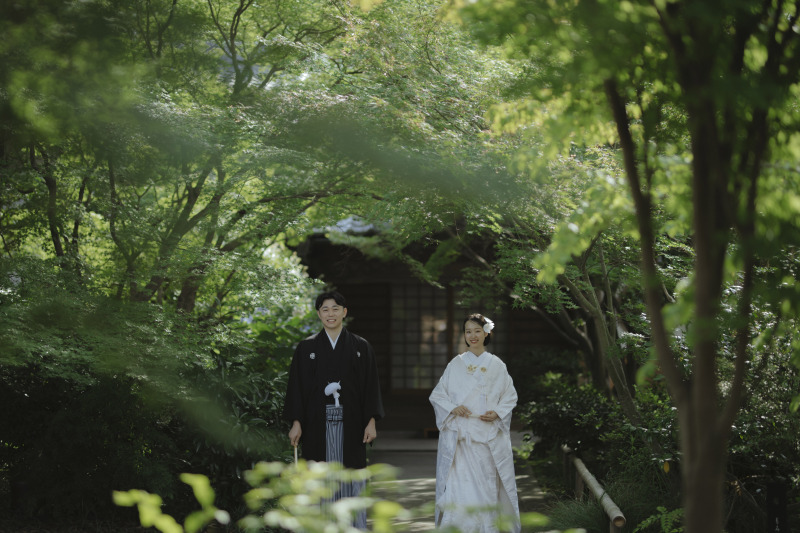 緑あふれるポイントも