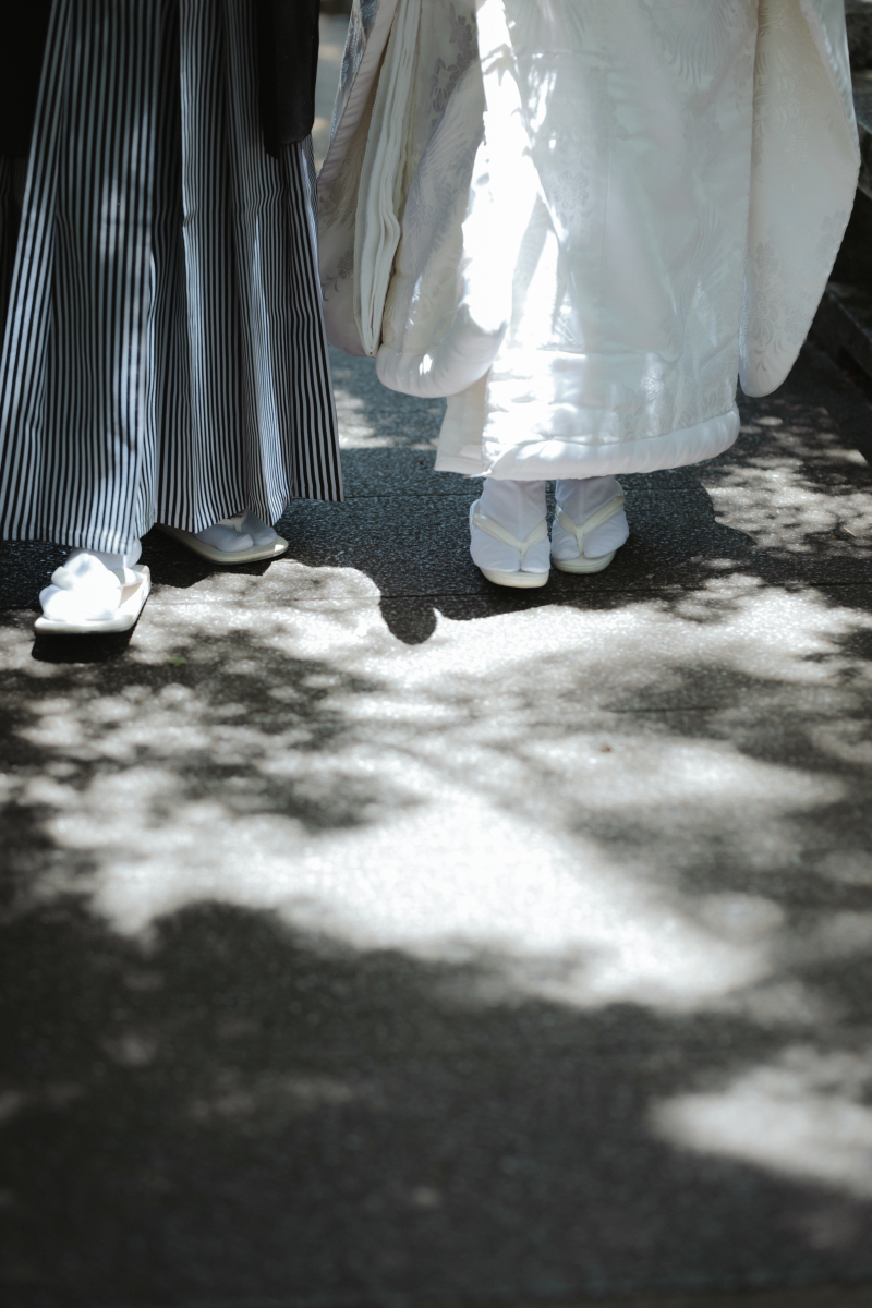 イメージカット