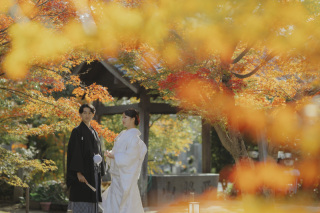 普元寺【和装ロケーション】
