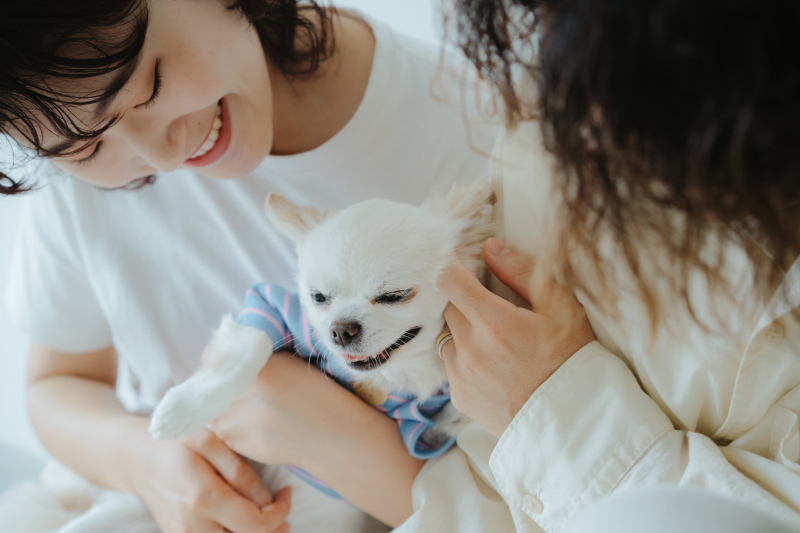 Marlgrafica_ペットと一緒に撮影できる