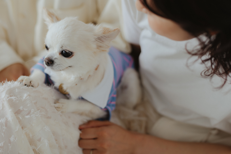 愛犬との思い出を、自然体で残せます