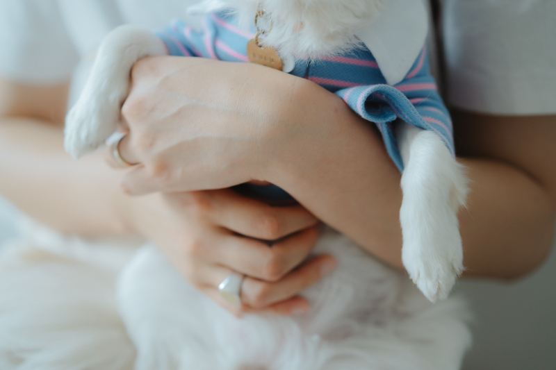 Marlgrafica_ペットと一緒に撮影できる