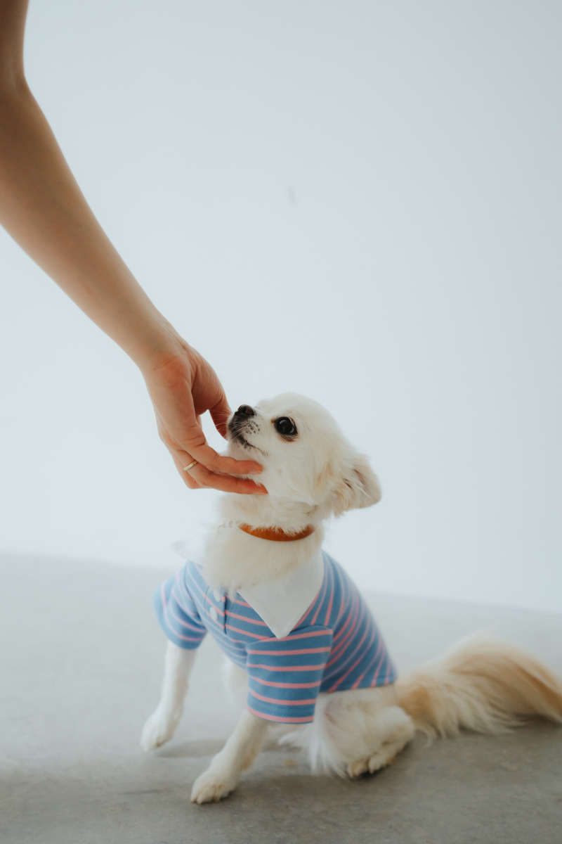 Marlgrafica_ペットと一緒に撮影できる