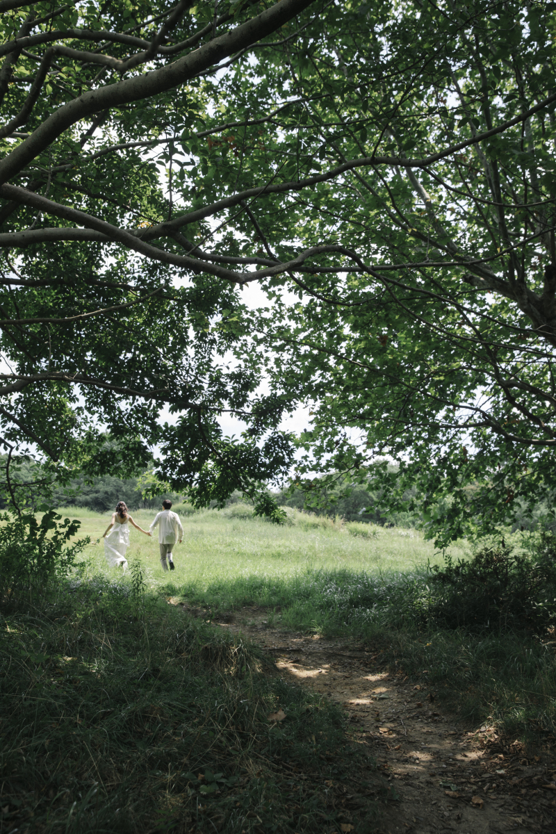 Marlgrafica_動画を作れる