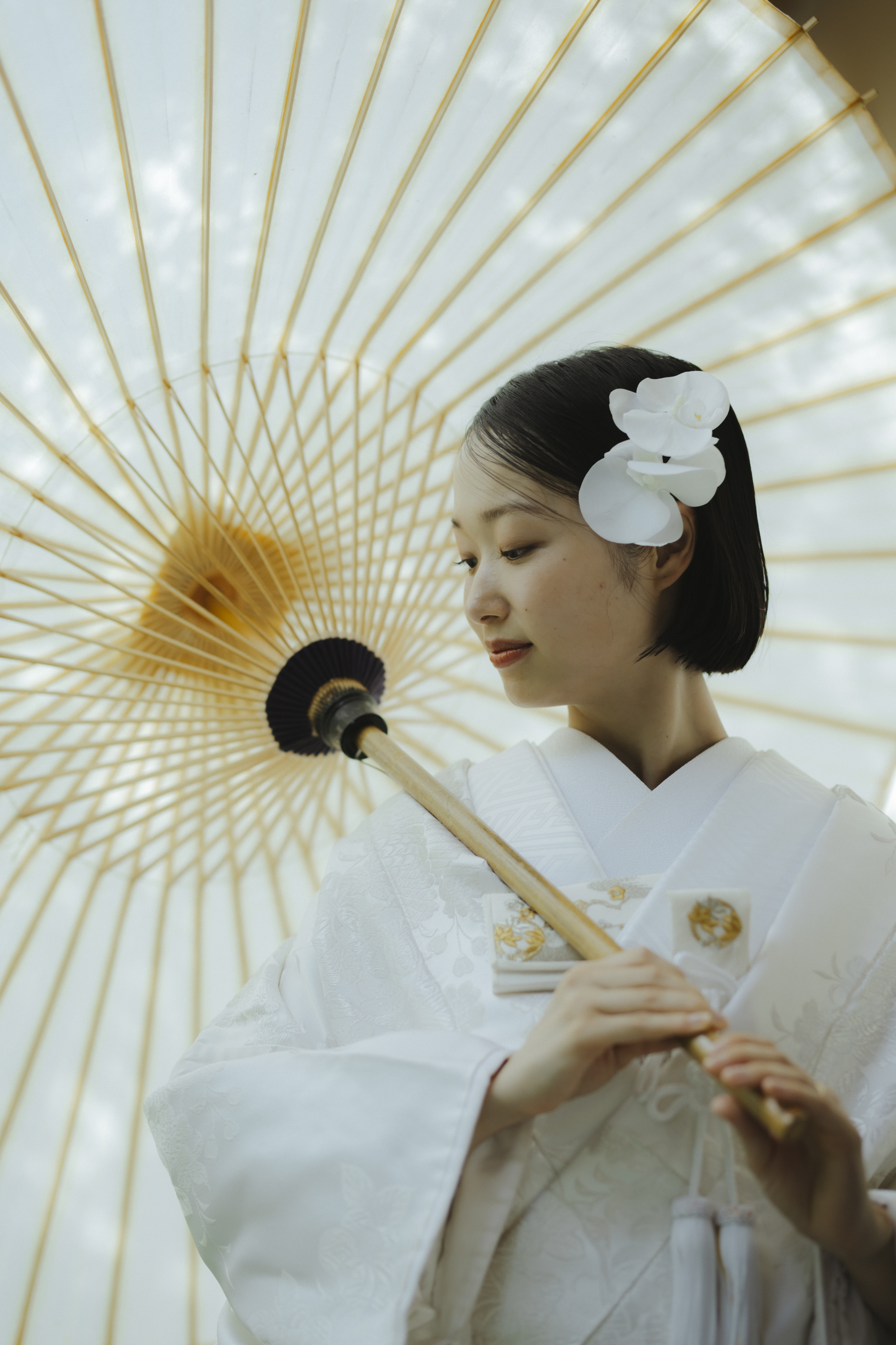 Point1 多彩な撮影シーン