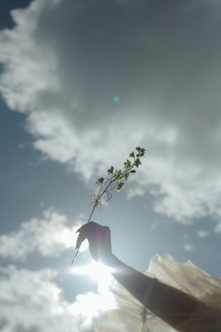Marlgrafica_スタジオ撮影