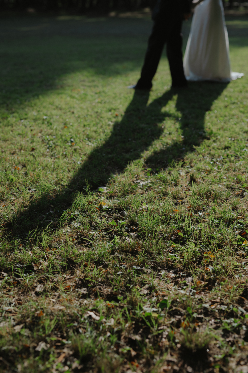 イメージカット